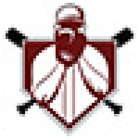 Sons of Baseball Foundation Logo