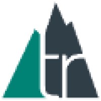 Timmerman Report Logo