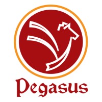 Pegasus Consultancy (Pvt.) Ltd Logo