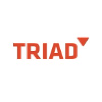 TRIAD China Logo