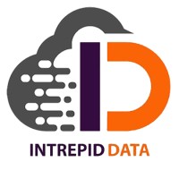 Intrepid Data, LLC. Logo