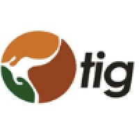 The Immigration Group Logo