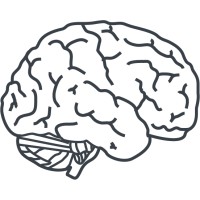 Right Brain Designs Logo