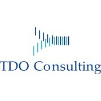 TDO Consulting Logo