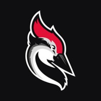 Woodpecker.co Logo