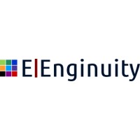 The Enginuity Group Logo