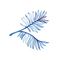 Two Bunch Palms Logo