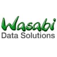 Wasabi Data Solutions Logo