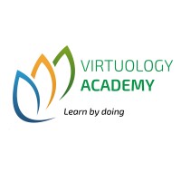 Virtuology Academy Logo