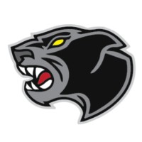 Stray Cat Industrial Services Ltd. Logo