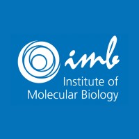 Institute of Molecular Biology (IMB) Logo