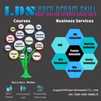 LearnDreamSkill.com Logo
