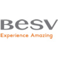 BESV USA Logo