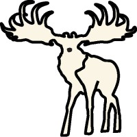 No Capital, LLC Logo