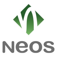 Neos IT Services Logo
