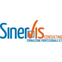 SinerVis Consulting srl Logo