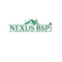 Nexus BSP LLC Logo