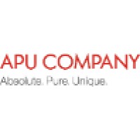 APU company Logo