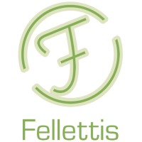 Fellettis - helping sales organisations to achieve top performance Logo