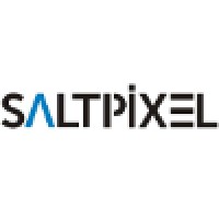 Salt Pixel Logo