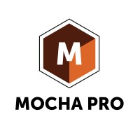 Imagineer Systems (A division of Boris FX) Logo