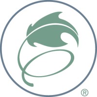 Ivie Logo