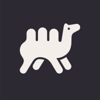 Felipa: Creative Studio Logo