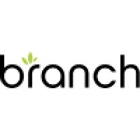 Branch Media Labs Logo