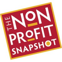 Nonprofit Snapshot, LLC Logo