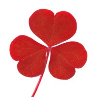 Asiaway Logo