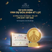 The ADORA | DONG PHUONG GROUP Logo