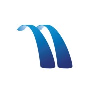 Dynamo Playgrounds Logo