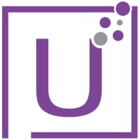 US Software Professionals Inc. Logo