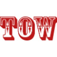 The Times of World Logo