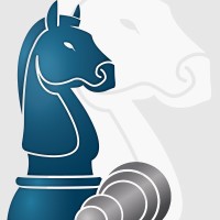 Majority Strategies Logo