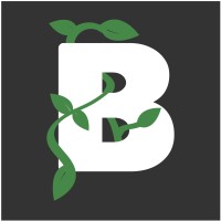 Beanstalk Web Solutions Logo