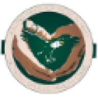 SOARing Eagles Healthcare Logo
