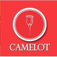 Camelot Convention Centre & Hotel Logo