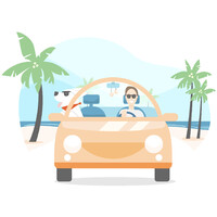 SnoopDrive, Inc. Logo