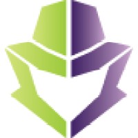 Data Security Understood Logo