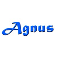 AGNUS Assessoria Empresarial Logo