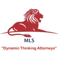 TLi Group | Mashabane Liebenberg Sebola Inc Logo