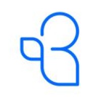 THE BIZZ ADVISORS Logo