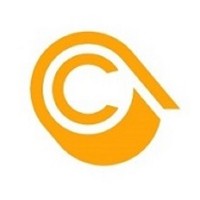 Code Consultants International, Inc. Logo