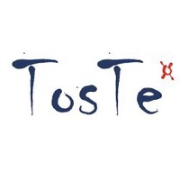 Toste - Healthcare Consulting Logo