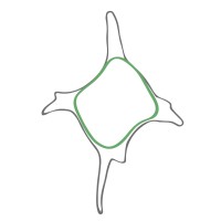 MGPALAEO Logo