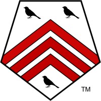 SingTone Technologies Logo