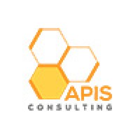 APIS Consulting Logo