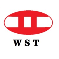 Cangzhou Weisitai Scaffolding Co.,Ltd. Logo