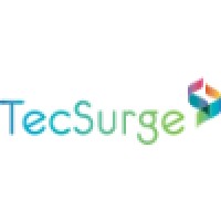 TecSurge Logo